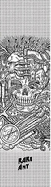 49036581699925