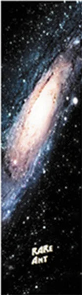 49036581667157