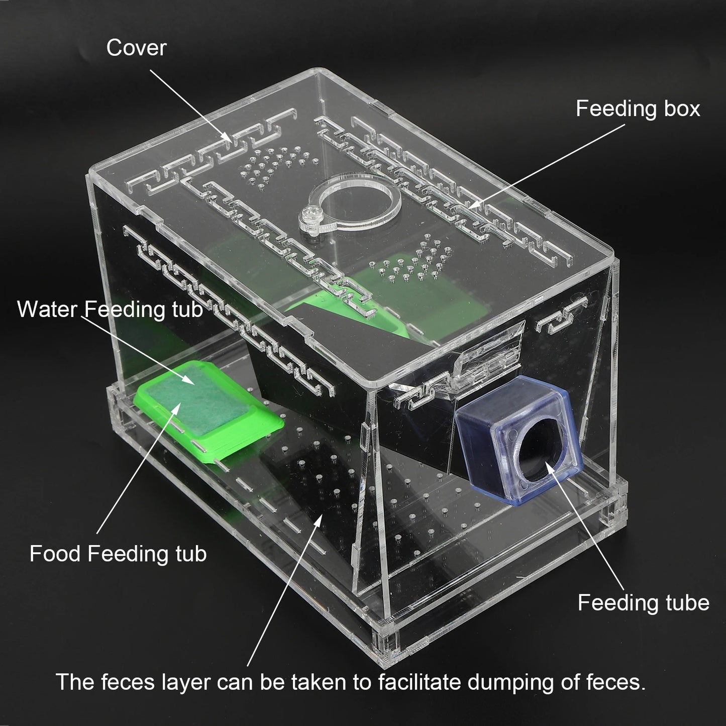 Acrylic Feeding Cricket Keeper Pen with Tubes Insect Cockroach Care Kit Reptile  Box Cricket Keeper Cricket Keeper  Box