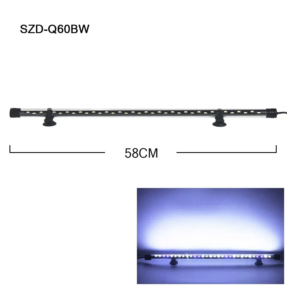 49113692733781|49113692766549|49113692799317|49113692832085