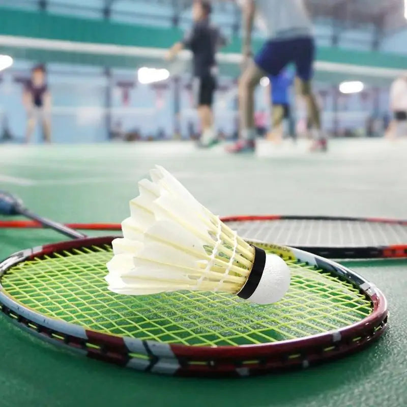 Feather Shuttlecock 12pcs Duck Feather Badminton Shuttlecocks High-Speed Training Badminton Balls Steady Flight Path Suitable