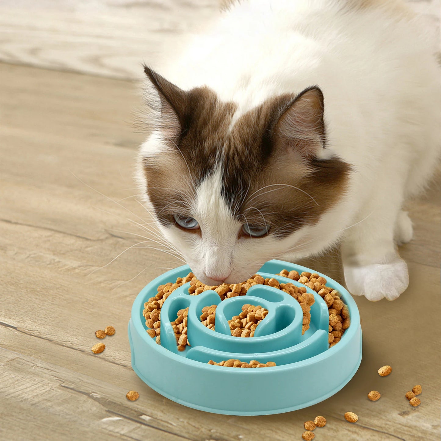 Slow Feeder Bowl Fun Non Slip Anti-Gulping also suitable for puppies