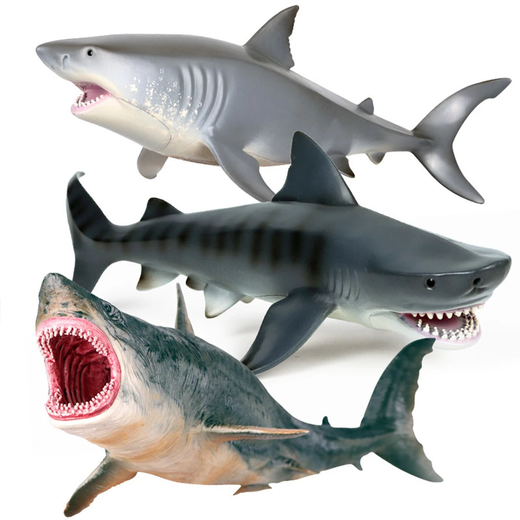 Sea Life Model Great White Shark Helicoprion Megalodon Action Figure Aquarium Ocean Marine Animals PVC Education Kids Toy