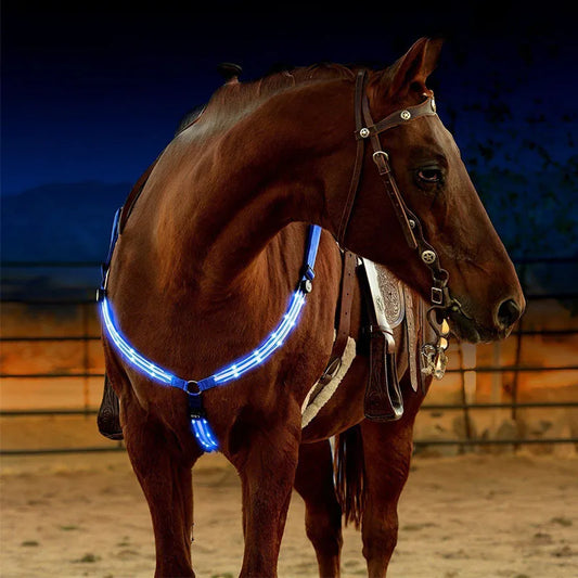 Horse Equipment Breastplate Nylon LED Night Flashing Light Bar Harness Outdoor Sports USB Charge Riding Decorations Belt