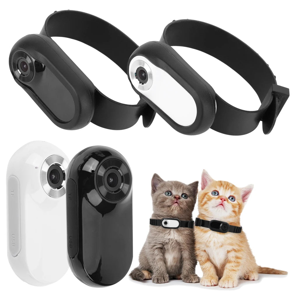 HD 1080P Wireless Collar Camera No WiFi Needed Dog/Cat