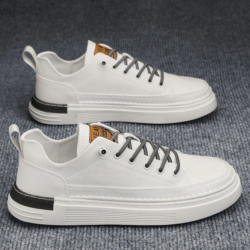 49029831590229|49029831622997|49029831655765|49029831688533|49029831754069|49029831786837