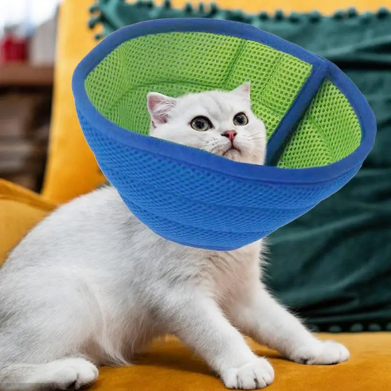 Pet Adjustable Collar Dog Neck Cone Recovery Collar Pet Anti-bite Elizabethan Collar Kitten Dogs Washable Cat Recovery Cone