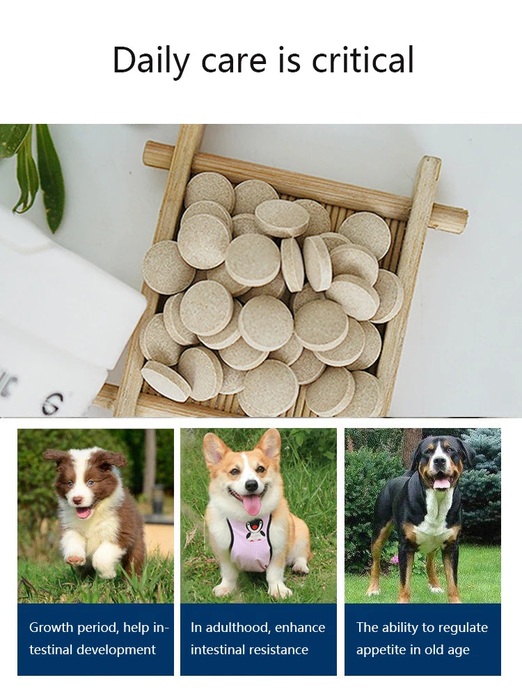 Probiotics for Pet Dogs Gastrointestinal Bao Cat Digestive Tablets