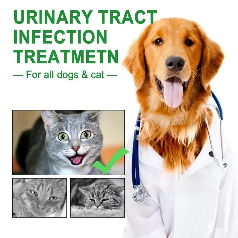 Pet UTI Treatment 60ml Powerful Cat Bladder Drops For Urinary Tract