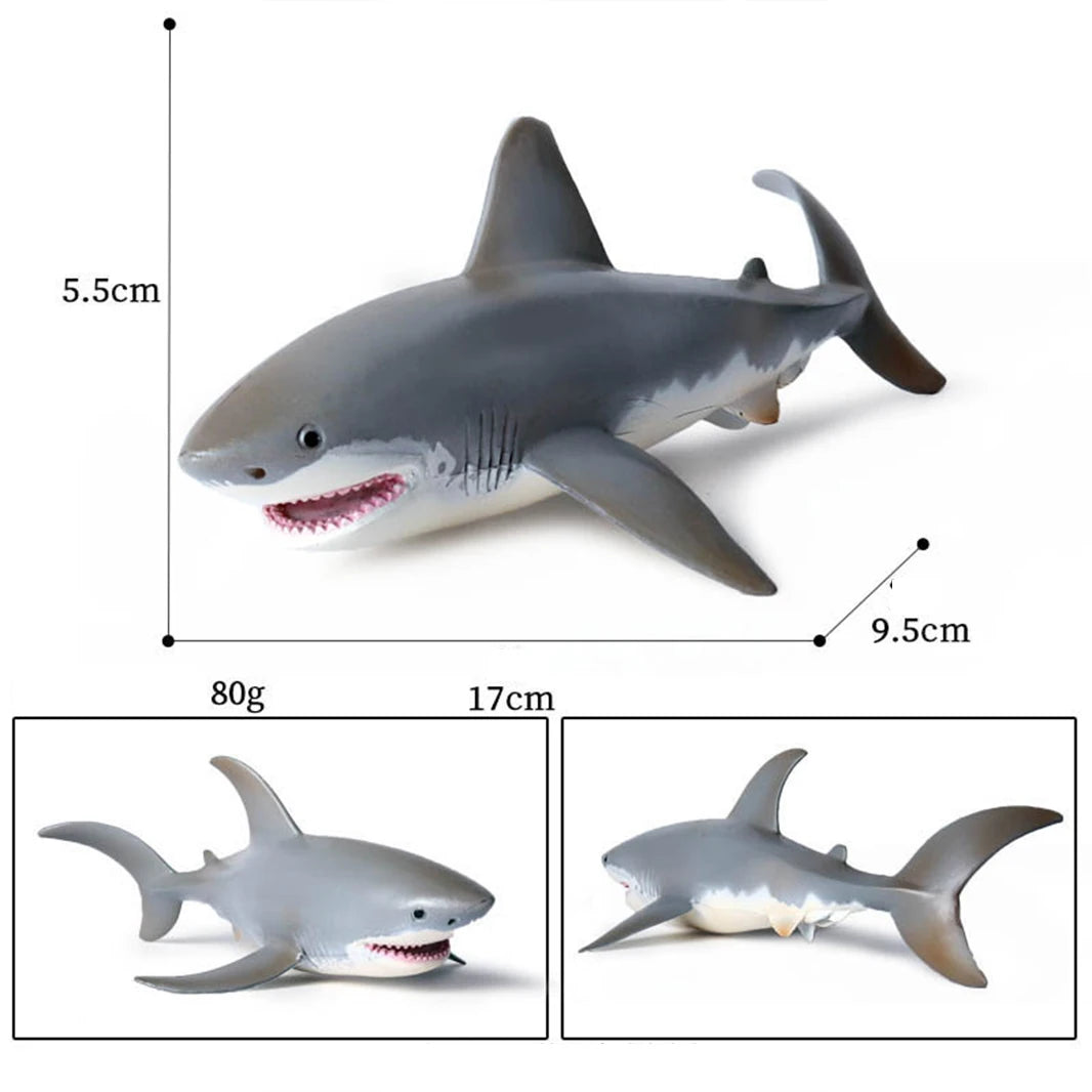 Sea Life Model Great White Shark Helicoprion Megalodon Action Figure Aquarium Ocean Marine Animals PVC Education Kids Toy