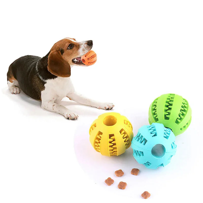 Interactive Puppy Chew