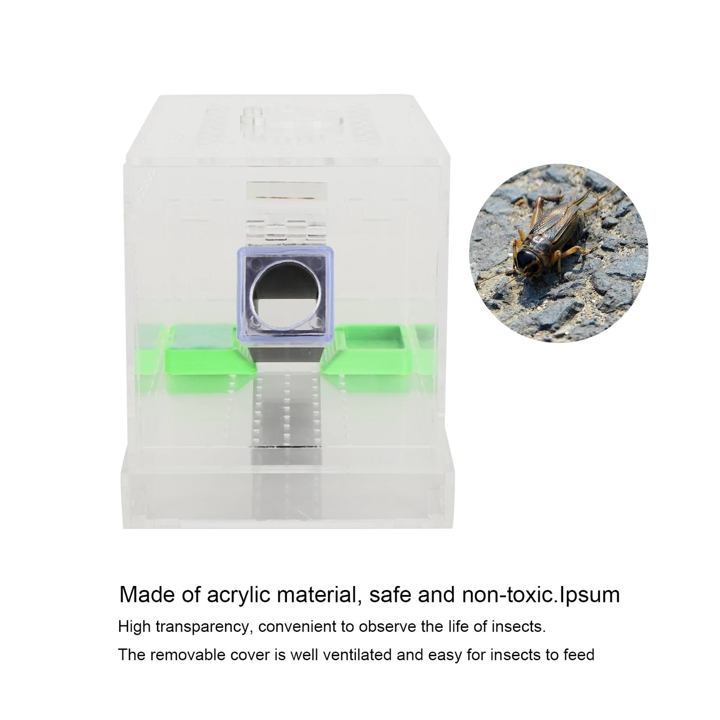 Acrylic Feeding Cricket Keeper Pen with Tubes Insect Cockroach Care Kit Reptile  Box Cricket Keeper Cricket Keeper  Box