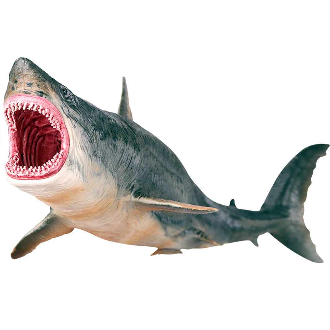 Sea Life Model Great White Shark Helicoprion Megalodon Action Figure Aquarium Ocean Marine Animals PVC Education Kids Toy