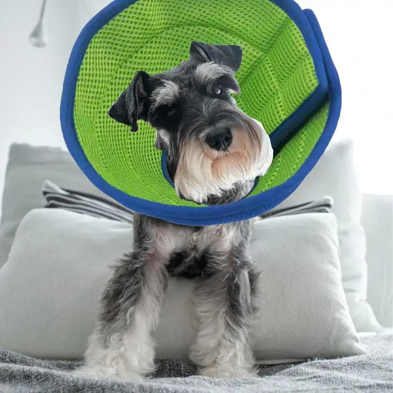 Pet Adjustable Collar Dog Neck Cone Recovery Collar Pet Anti-bite Elizabethan Collar Kitten Dogs Washable Cat Recovery Cone