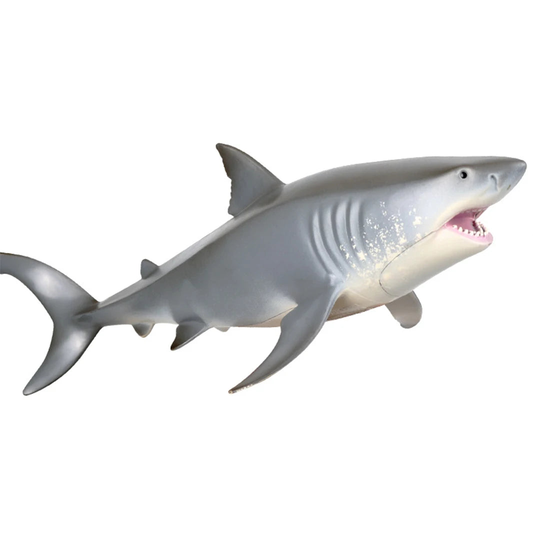 Sea Life Model Great White Shark Helicoprion Megalodon Action Figure Aquarium Ocean Marine Animals PVC Education Kids Toy