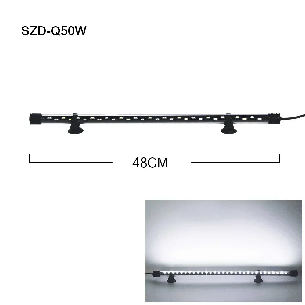 49113692930389|49113693258069|49113693290837|49113693323605