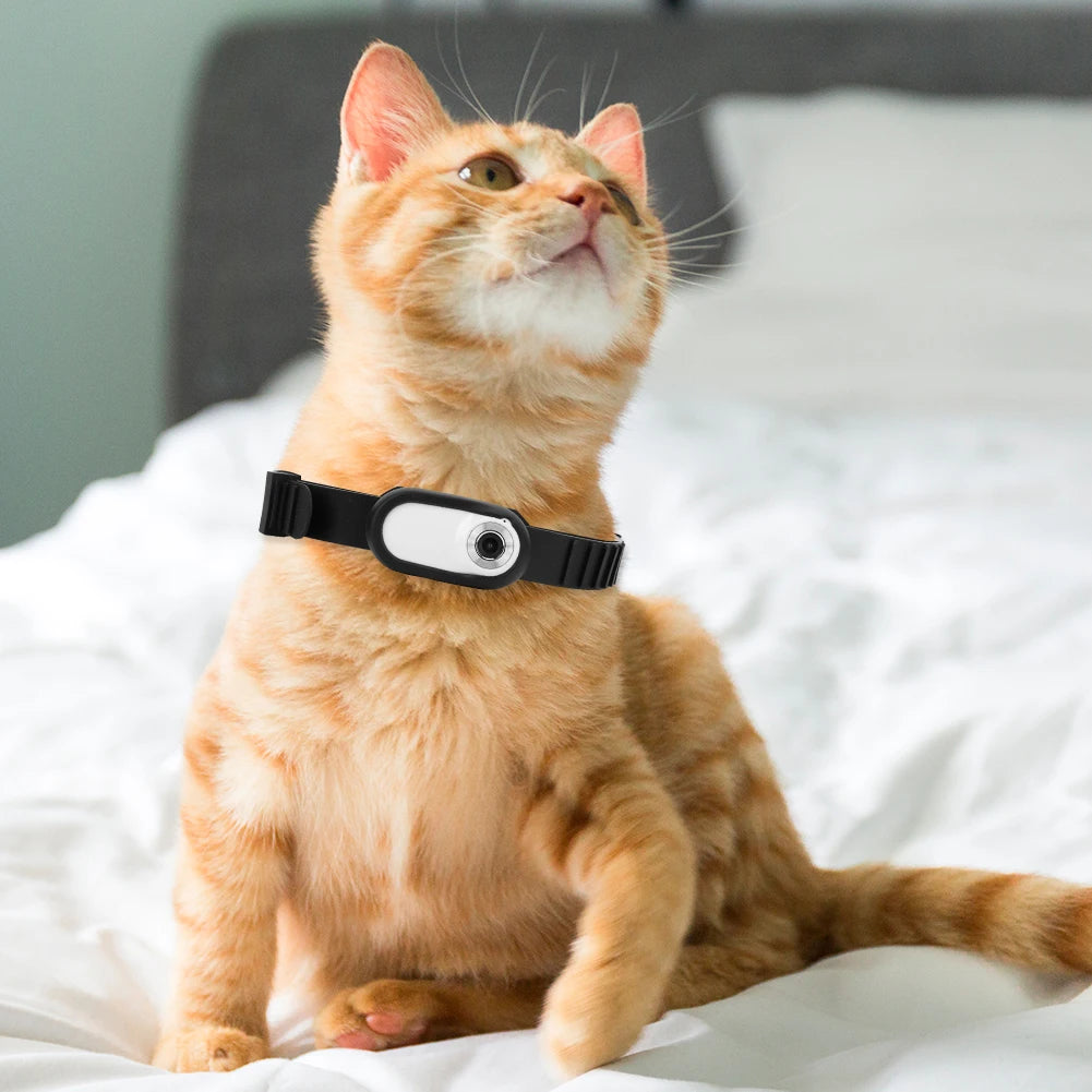 HD 1080P Wireless Collar Camera No WiFi Needed Dog/Cat