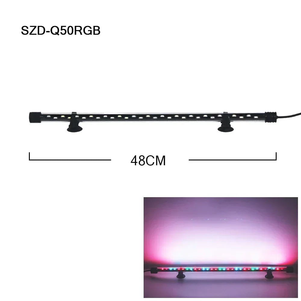 49113692471637|49113692504405|49113692537173|49113692569941