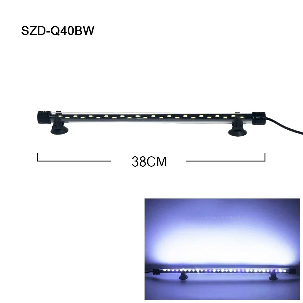 49113691816277|49113692995925|49113693028693|49113693094229